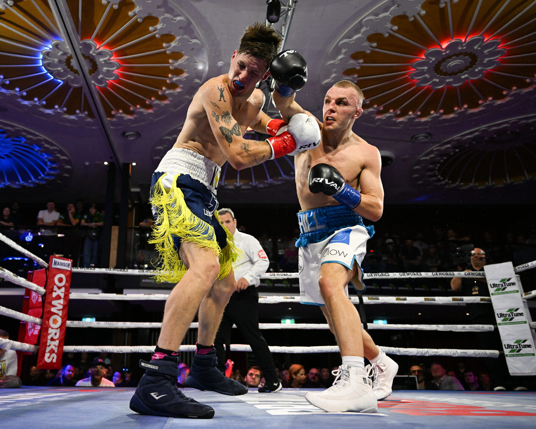 Dan working forward in the ring