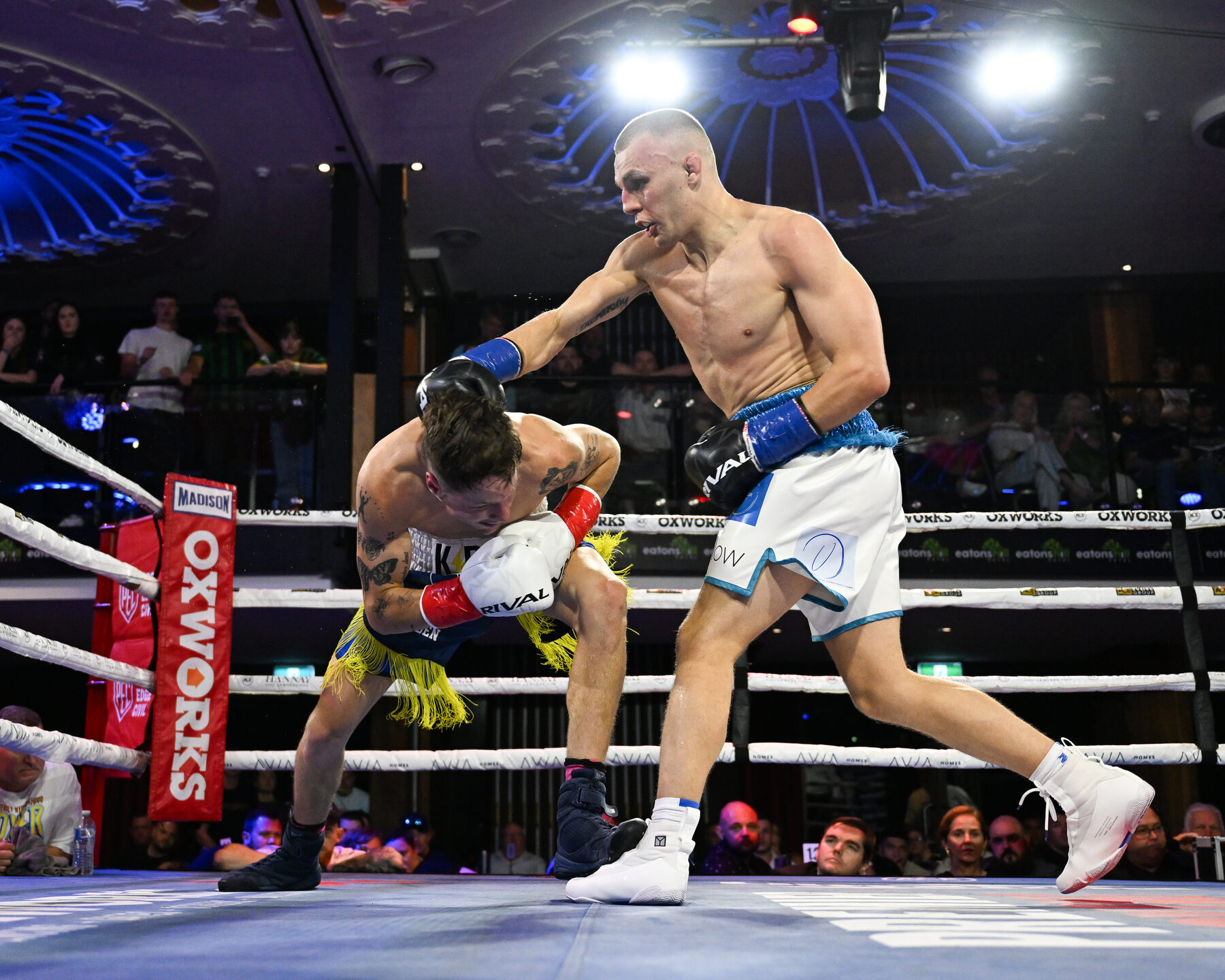 Dan landing a body shot in the ring